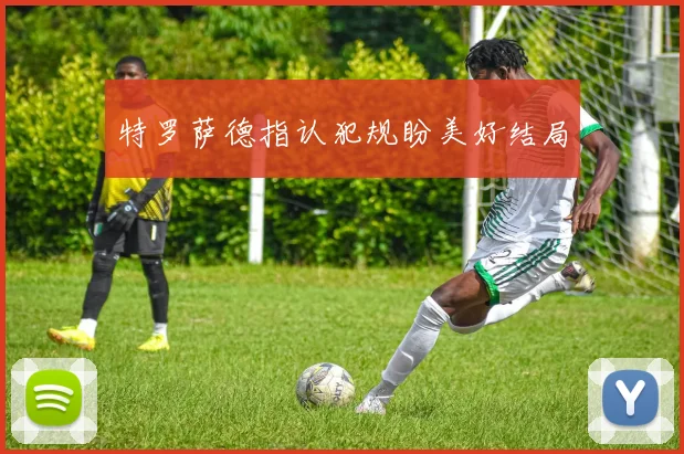 特罗萨德指认犯规盼美好结局