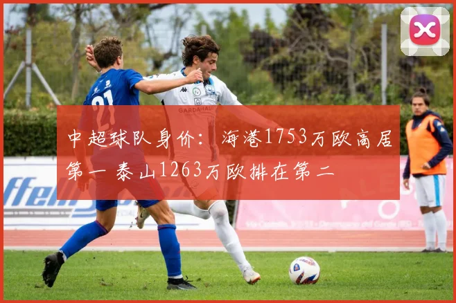 中超球队身价：海港1753万欧高居第一 泰山1263万欧排在第二