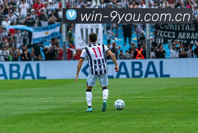 九游体育平台生态图